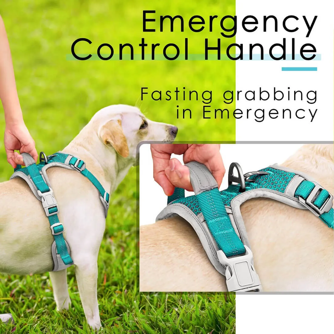 Anti-Pull Dog Harness - With Quick Release Neck Clip - ThinkPet