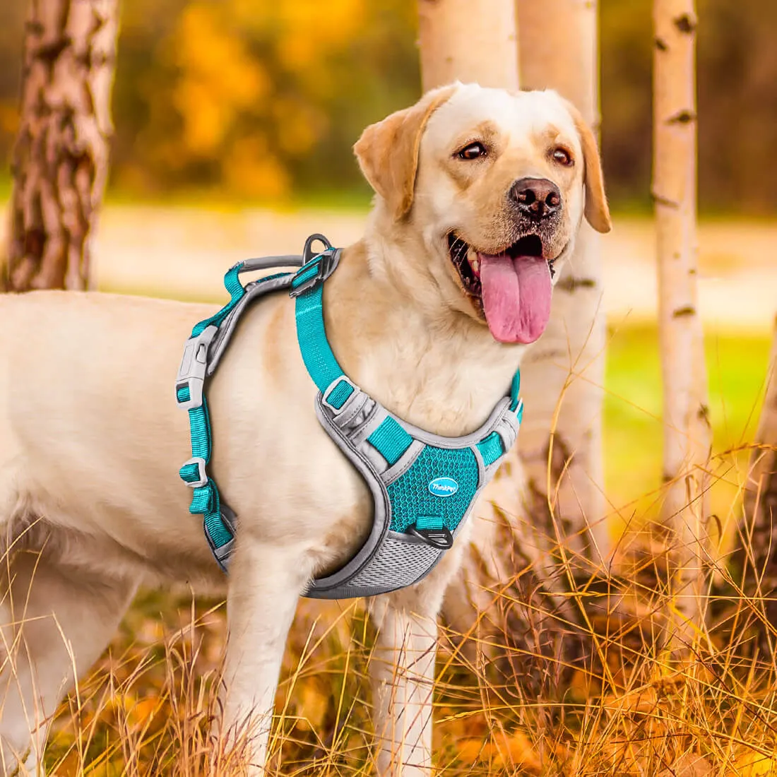 Anti-Pull Dog Harness - With Quick Release Neck Clip - ThinkPet