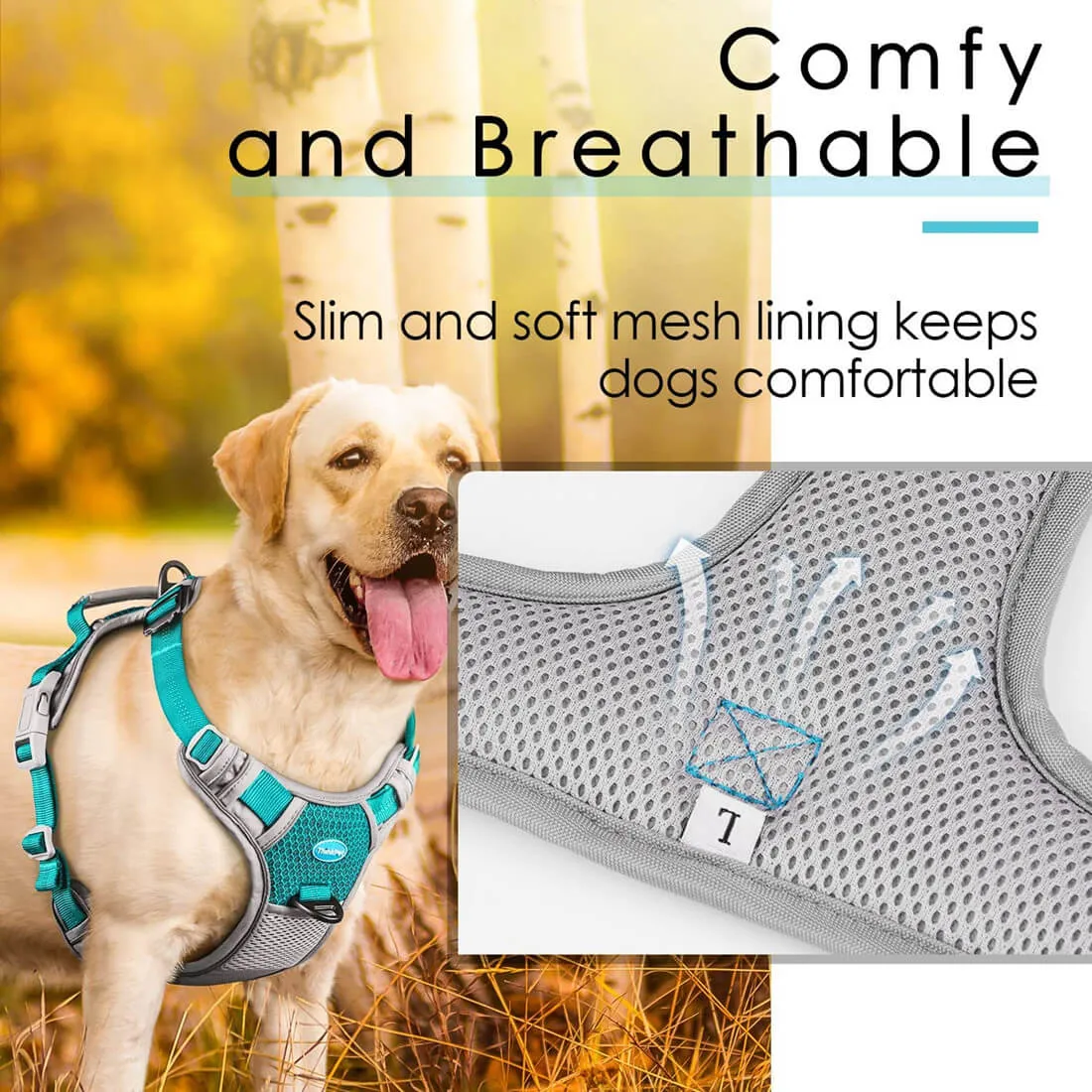 Anti-Pull Dog Harness - With Quick Release Neck Clip - ThinkPet