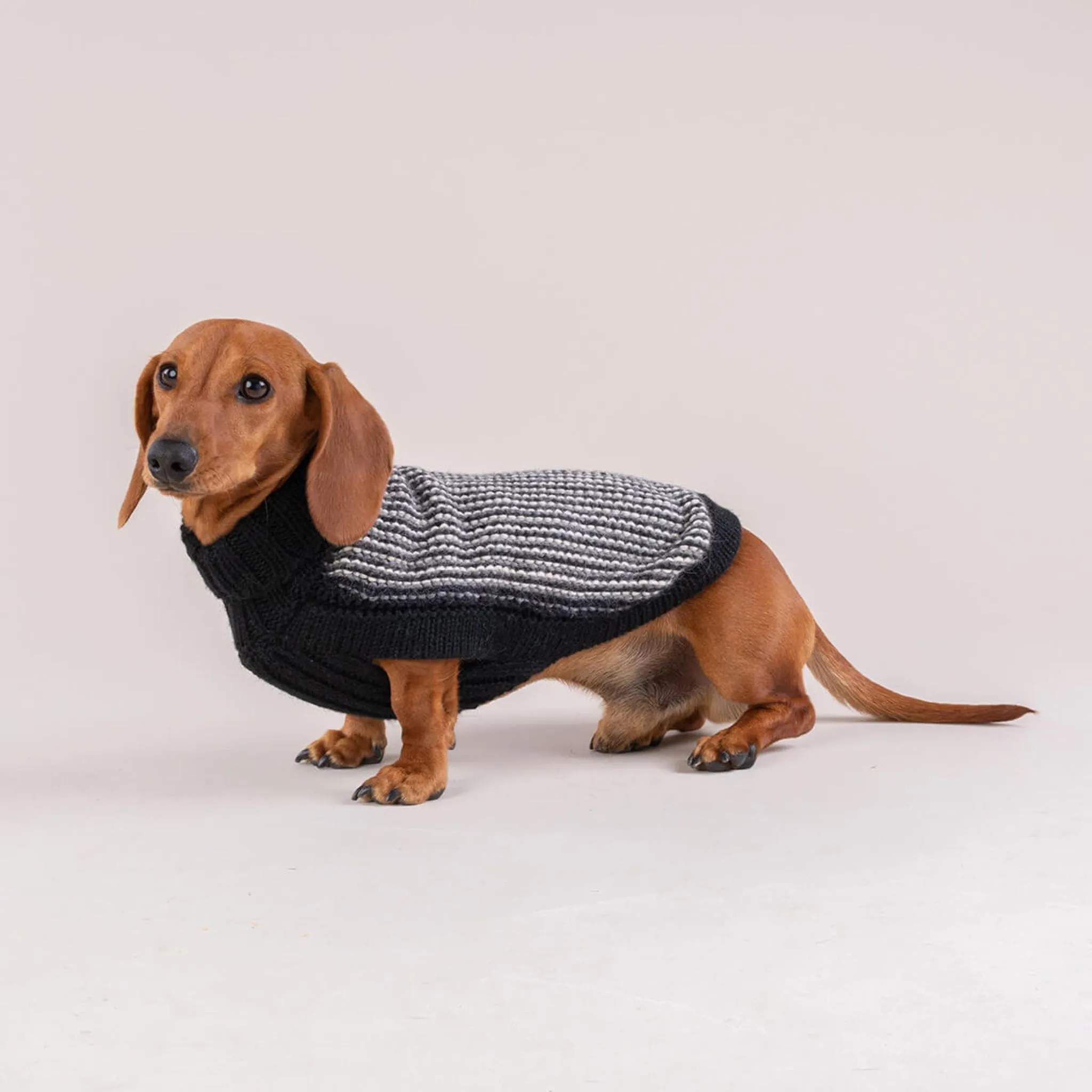 BLACK & CREAM ALPACA WOVEN KNIT DOG SWEATER