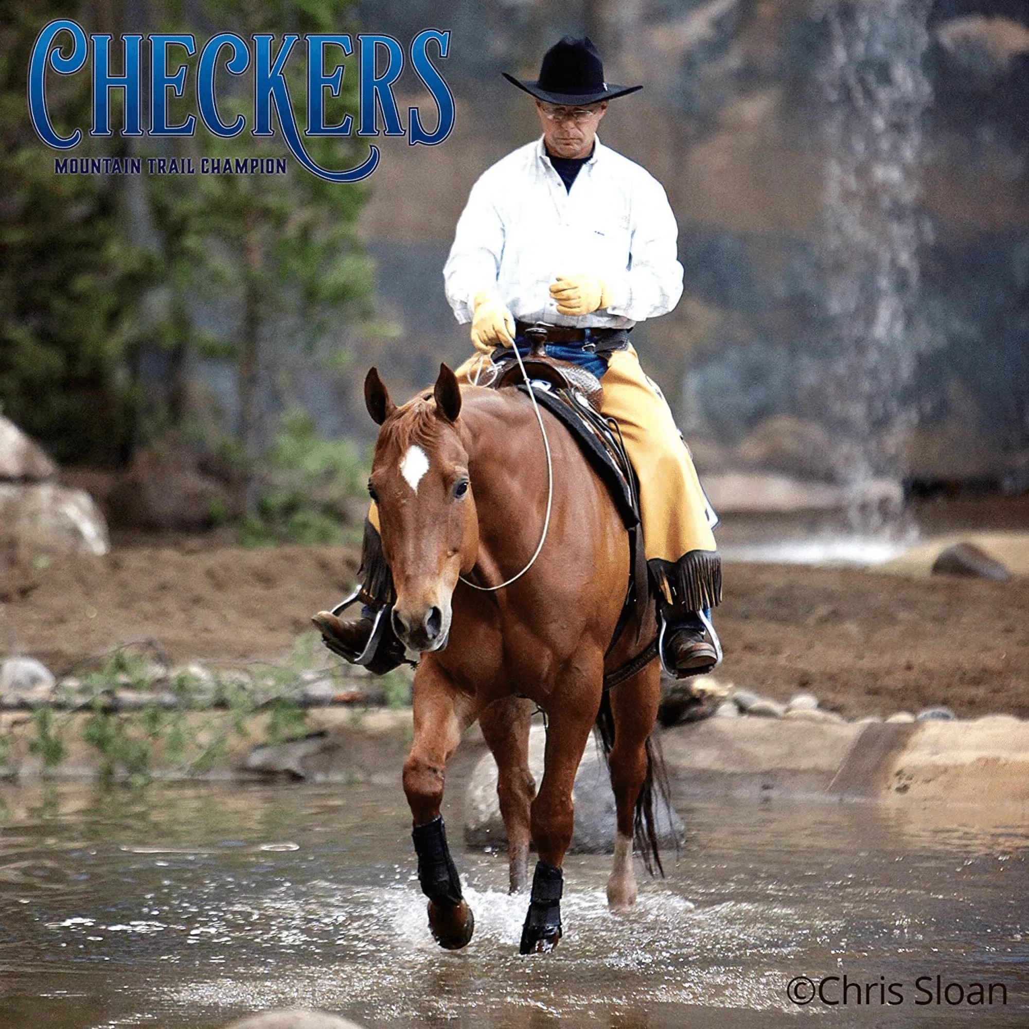 Checkers Mountain Trail Horse