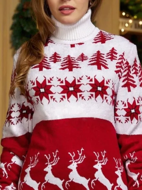 Christmas Turtleneck Ribbed Trim Sweater