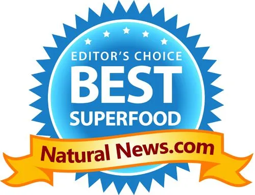 Enerhealth Botanicals ENERFOOD ORGANIC VEGAN SUPERFOOD