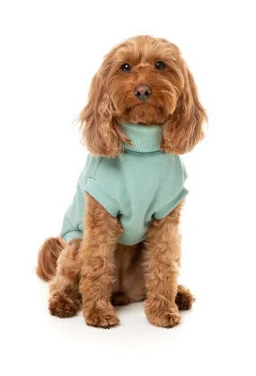 Fuzzyard Stevie Dog Sweater Mint