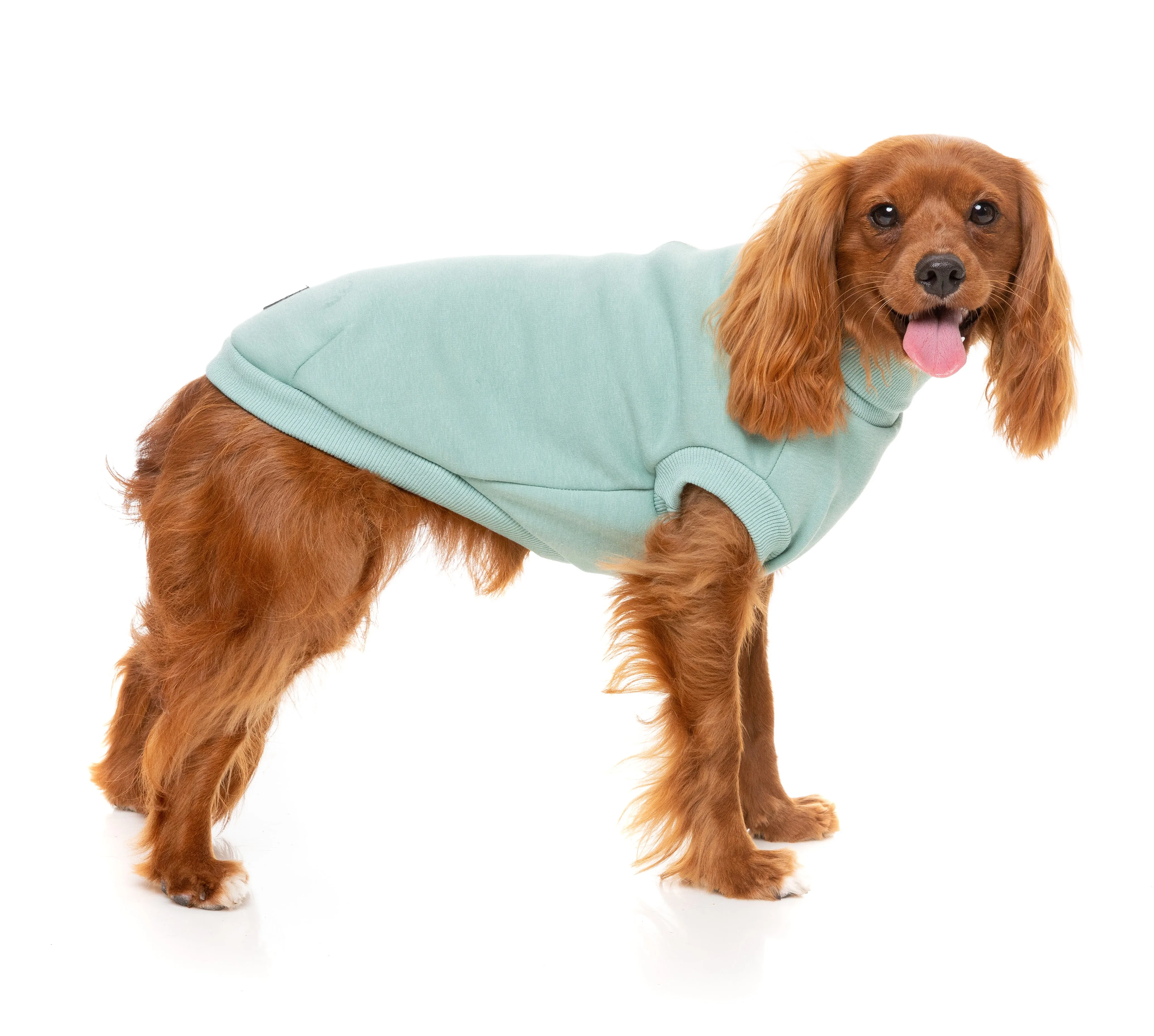 Fuzzyard Stevie Dog Sweater Mint