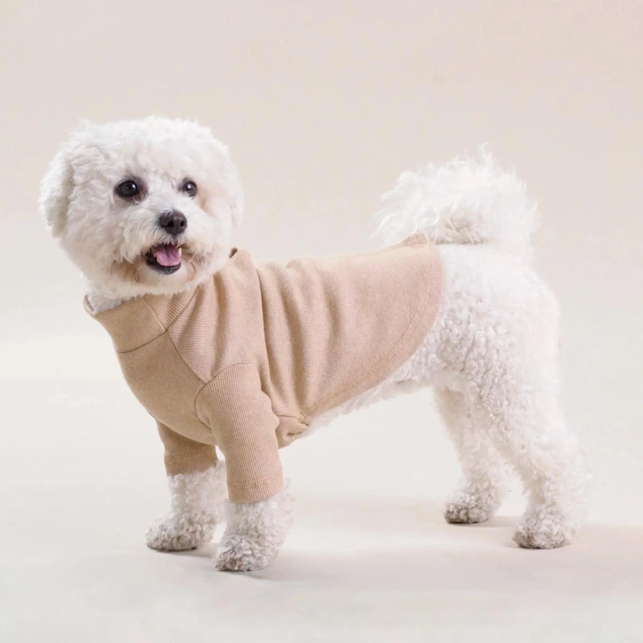 Honey Organic Cotton Dog Mock Turtleneck Shirt