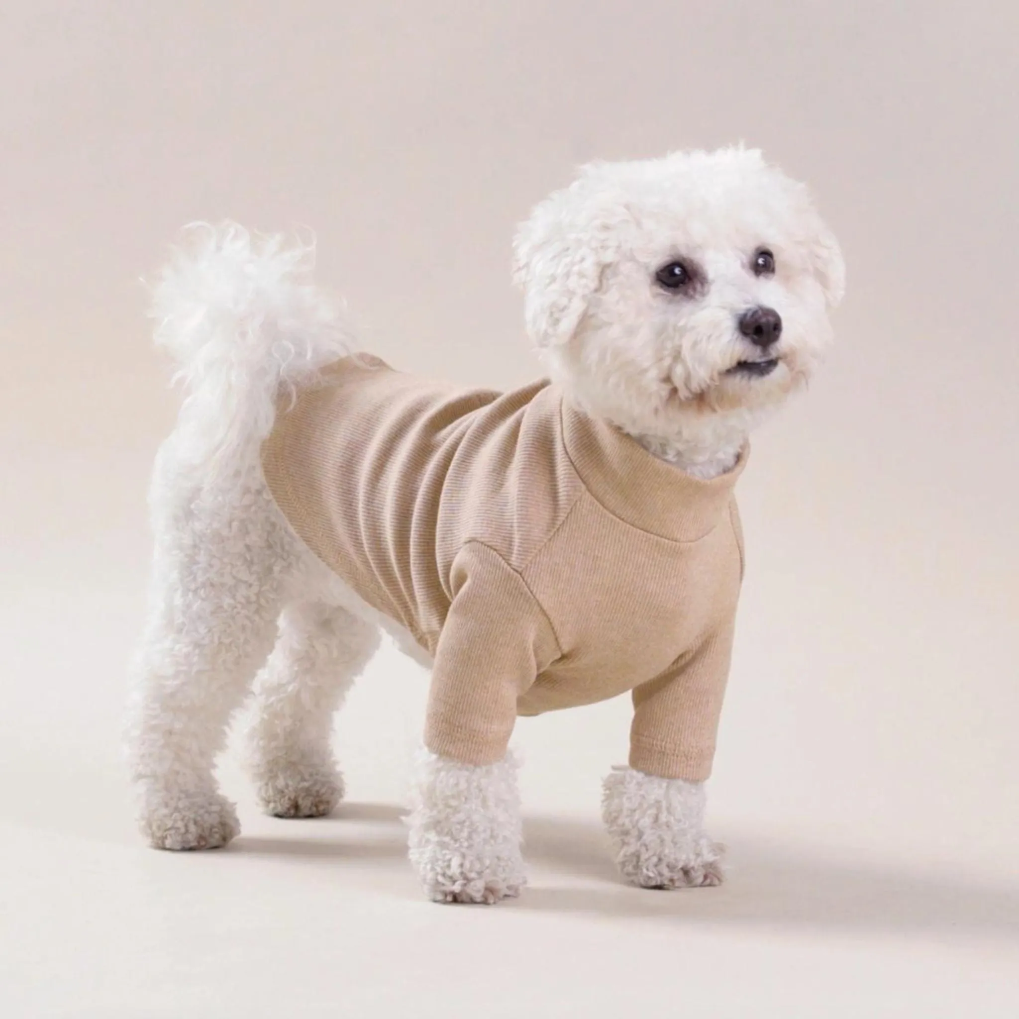 Honey Organic Cotton Dog Mock Turtleneck Shirt