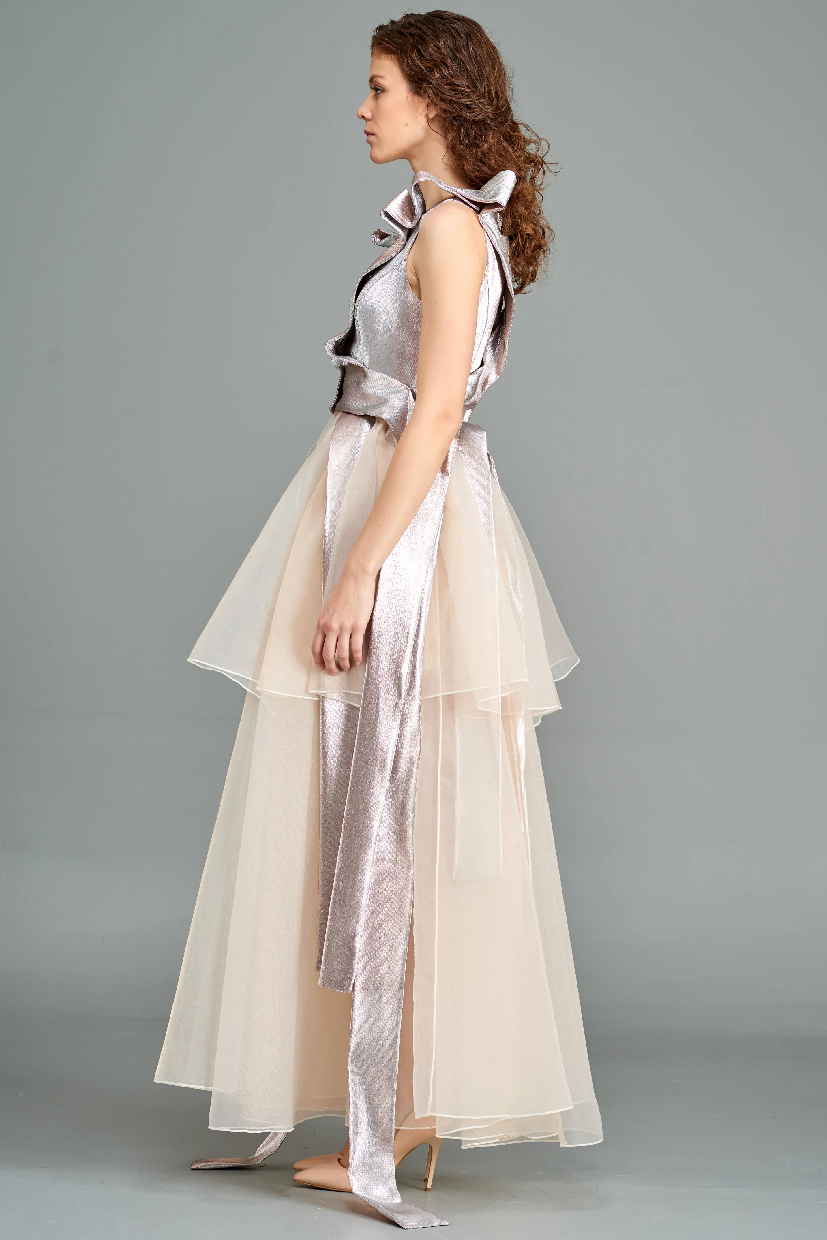 Metallic Jacquar Banded Organza Dress