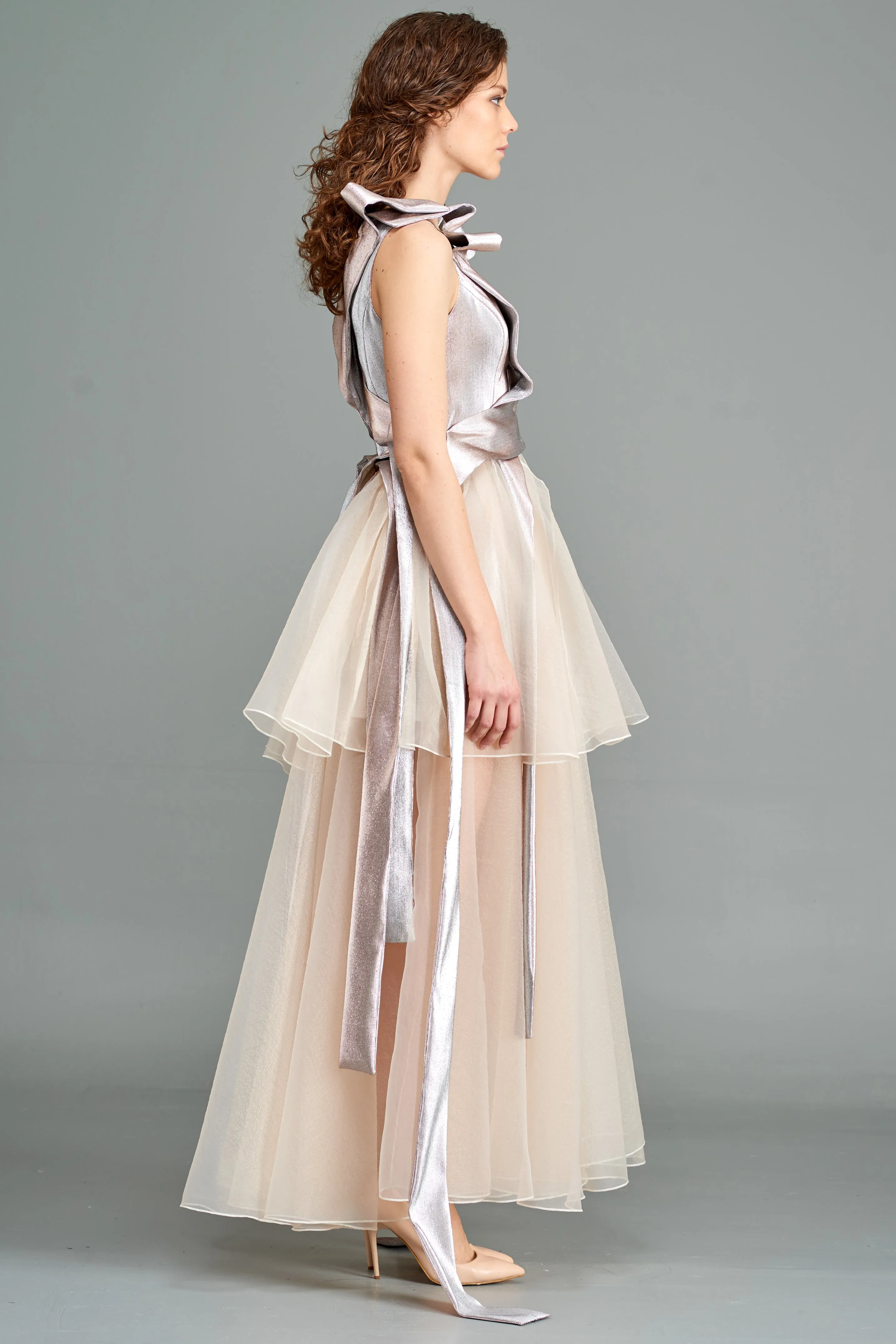 Metallic Jacquar Banded Organza Dress