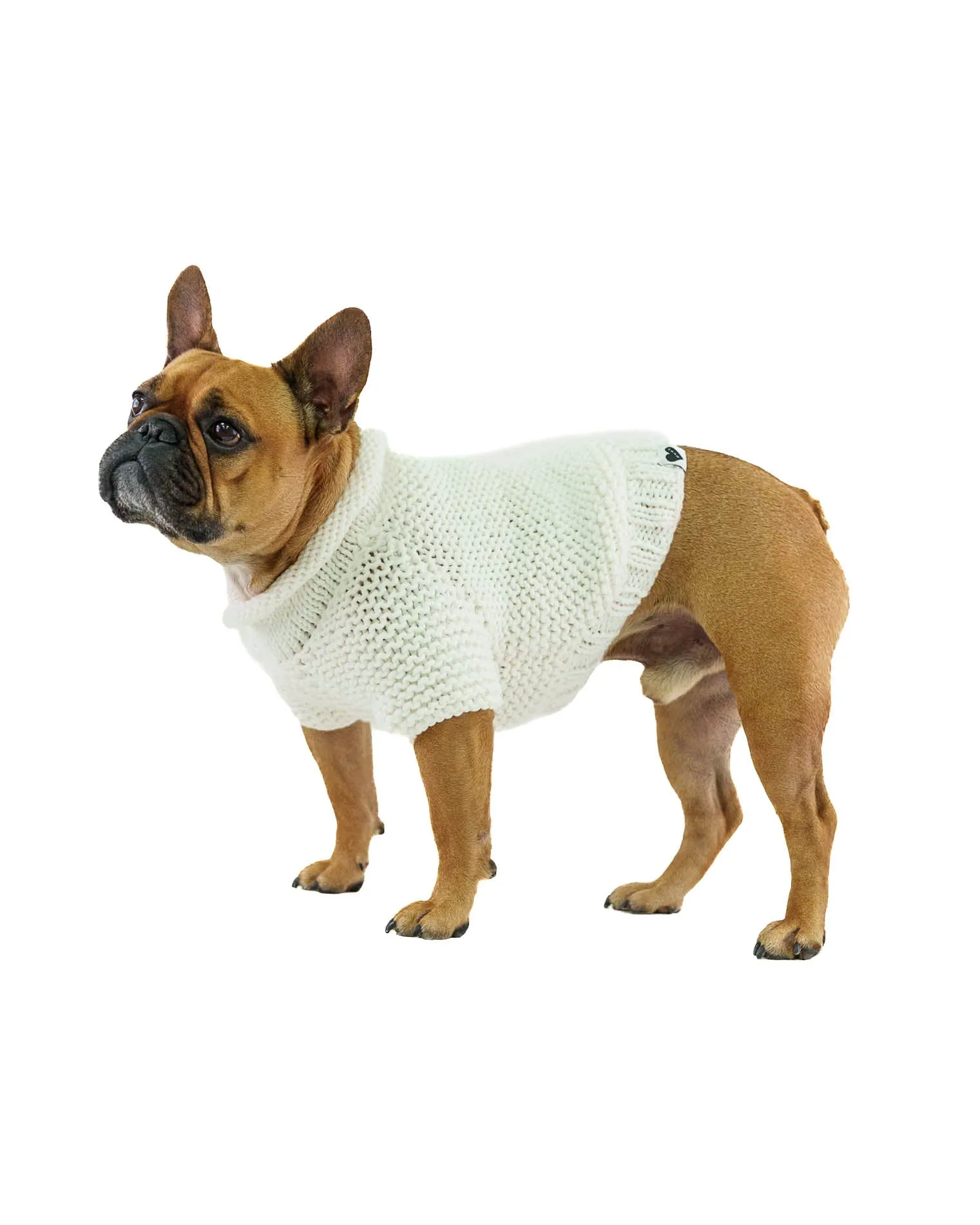 Pet Sweater