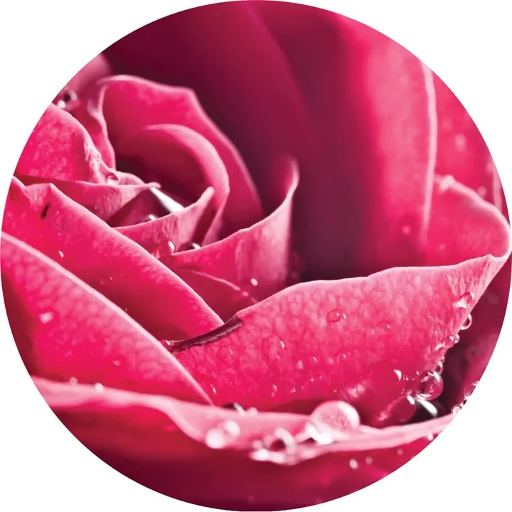 Rose, Essential Oil, Organic, 10 ml by T-Zone